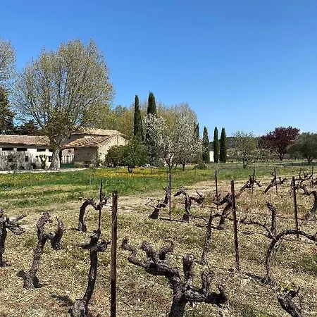 Maison Dans Propriete Au Milieu Des Vignes En Drome Provencale