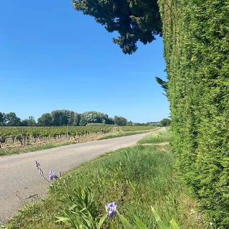 Holiday home Petite Maison En Drome Provencale Tulette