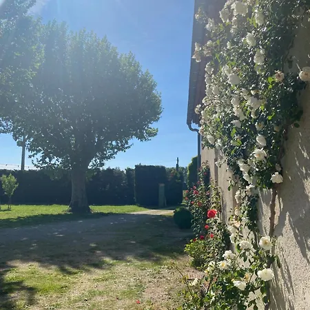 Maison Dans Propriete Au Milieu Des Vignes En Drome Provencale * Tulette