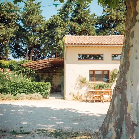 Maison Dans Propriete Au Milieu Des Vignes En Drome Provencale Tulette